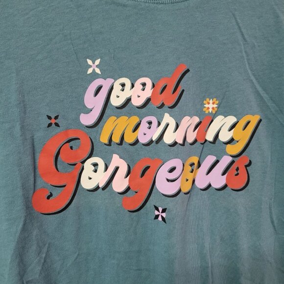 Joyspun Morning Gorgeous Tee Shirt Cropped Soft Womens Small Short Sleeve Blue - Picture 4 of 7